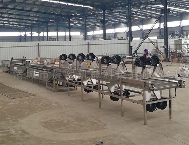 全自動苦菜清洗機效果