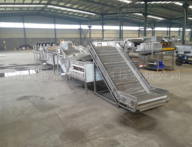 薺菜自動清洗機生產廠家